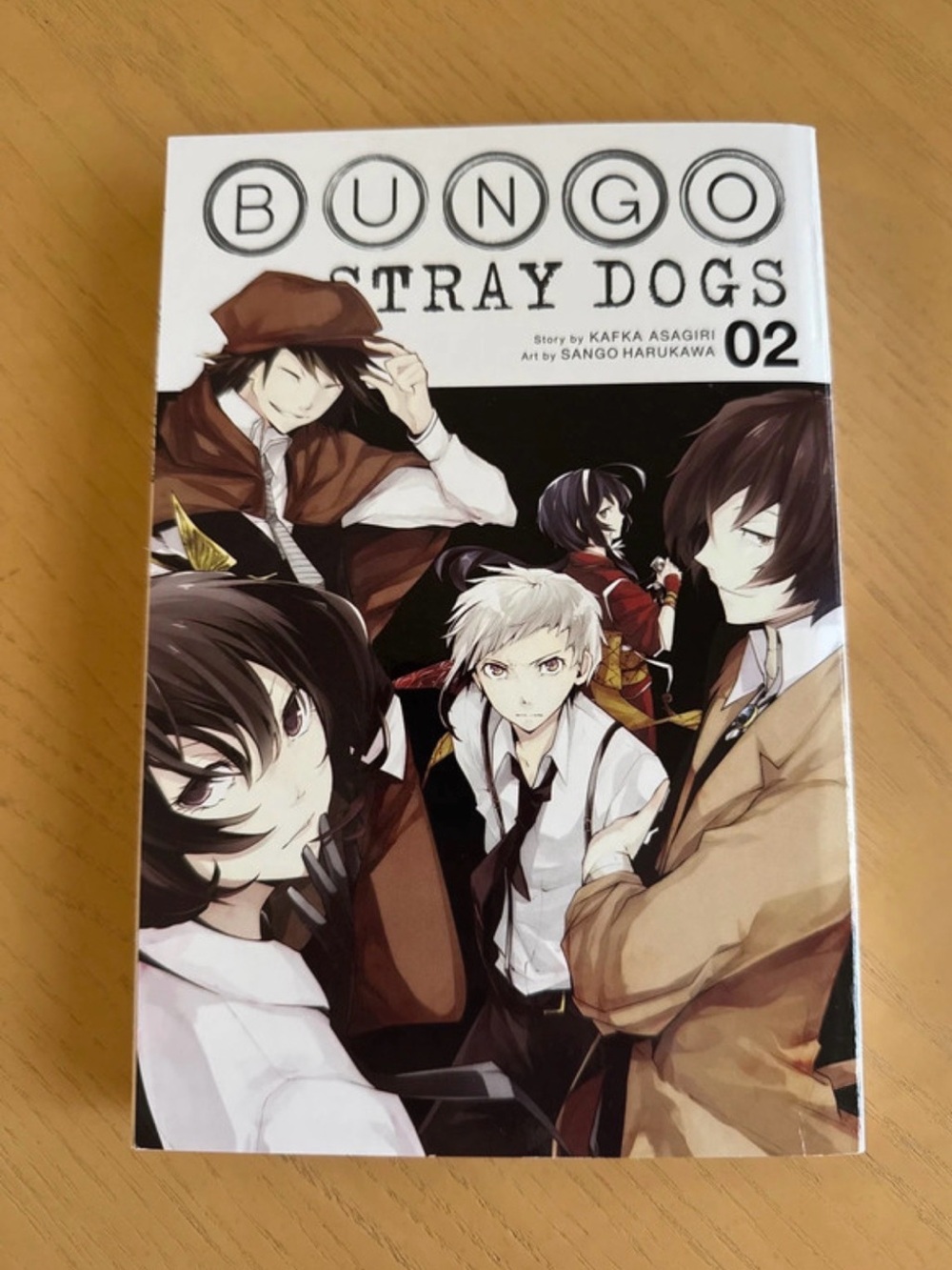 Bungo Stray Dogs Manga Volume 2